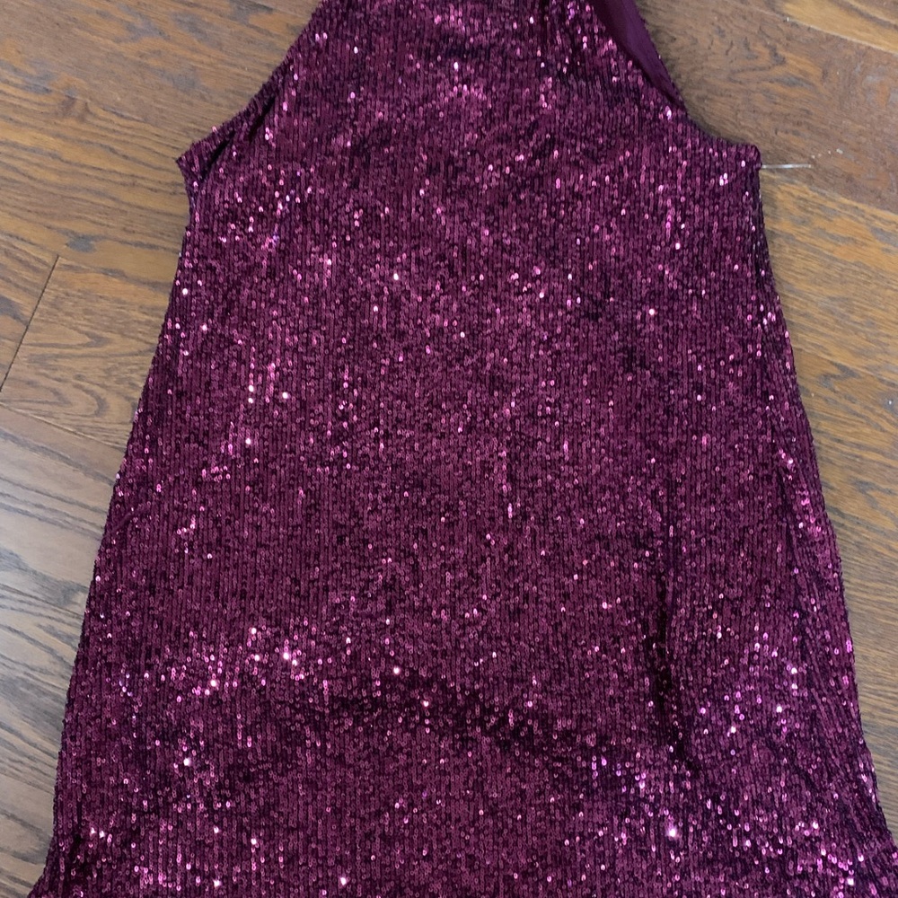 Sparkling Burgundy Dress